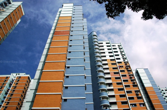Blk 171 Gangsa Road (Bukit Panjang), HDB 5 Rooms #220042